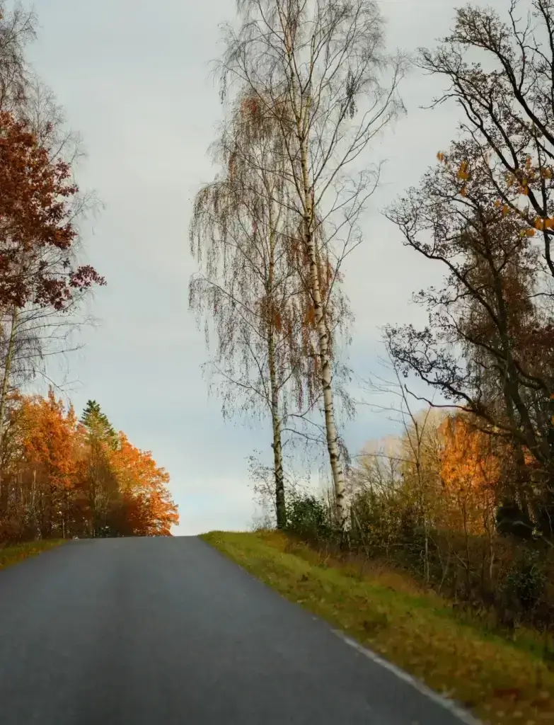 Om Trafiktillstand.nu